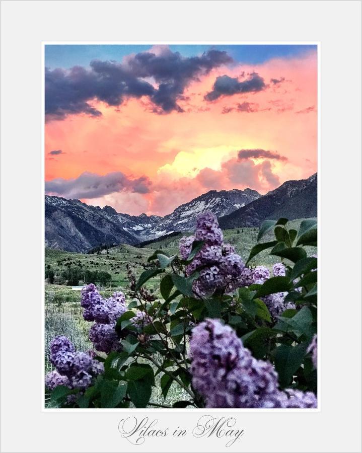 Pine Creek Cabin Livingston Montana ภายนอก รูปภาพ