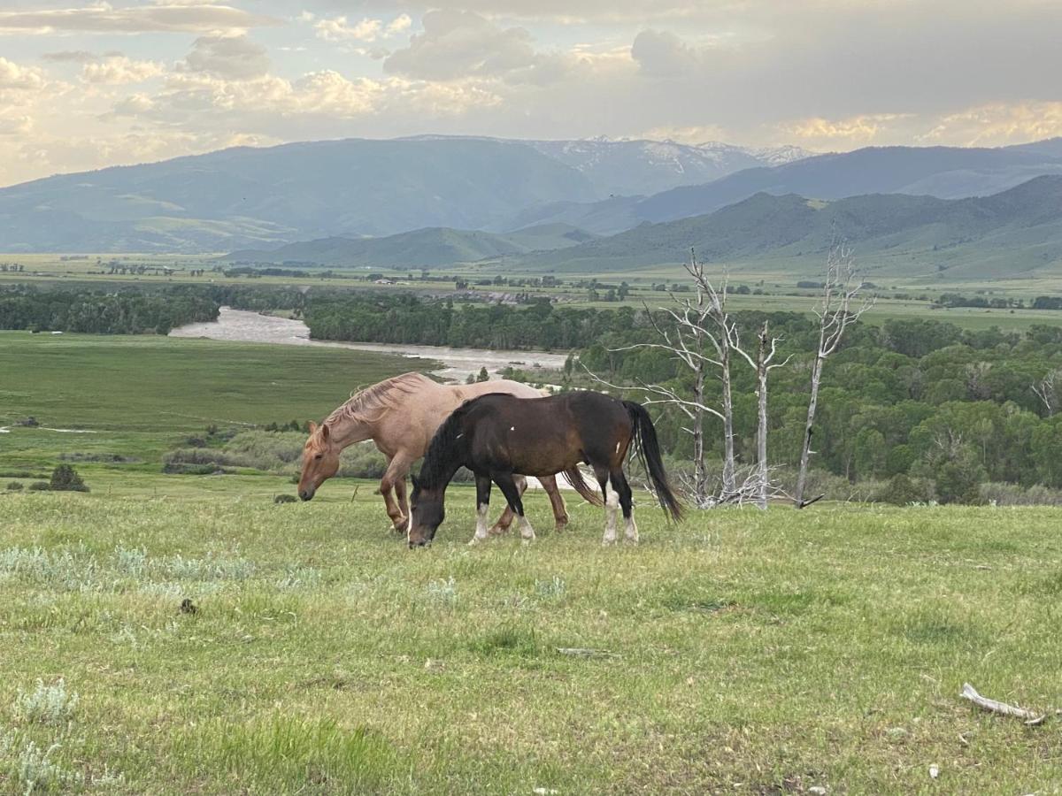 Pine Creek Cabin Livingston Montana ภายนอก รูปภาพ