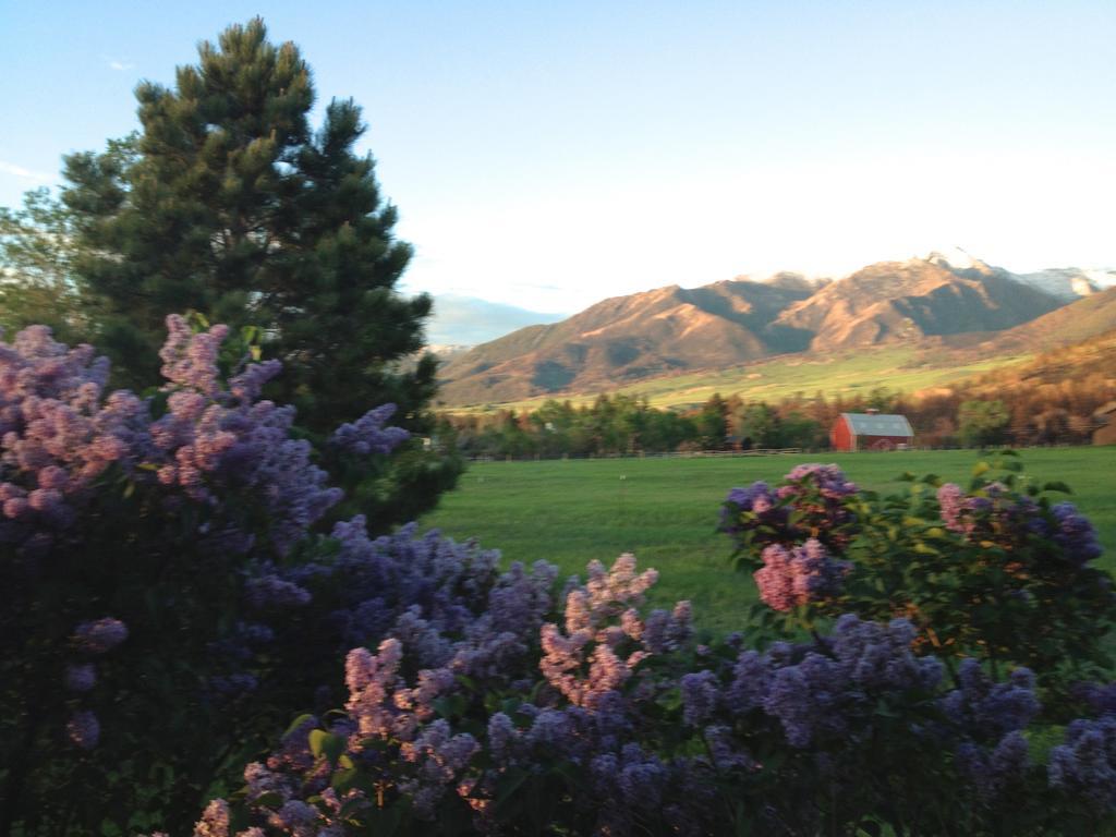 Pine Creek Cabin Livingston Montana ภายนอก รูปภาพ