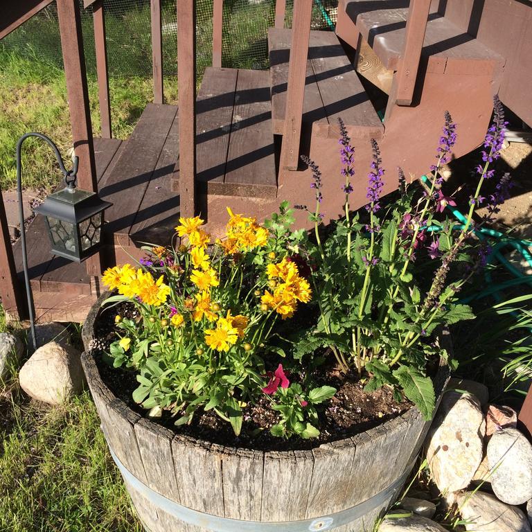 Pine Creek Cabin Livingston Montana ภายนอก รูปภาพ